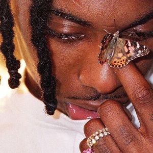 Meet your Posher, Dyren